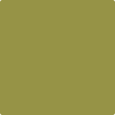 2147-20: Olive Moss a paint color by Benjamin Moore avaiable at Clement's Paint in Austin, TX.