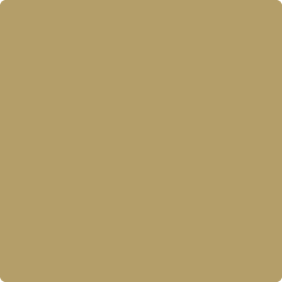 2148-30: Military Tan a paint color by Benjamin Moore avaiable at Clement's Paint in Austin, TX.