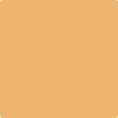 2156-40: August Morning a paint color by Benjamin Moore avaiable at Clement's Paint in Austin, TX.