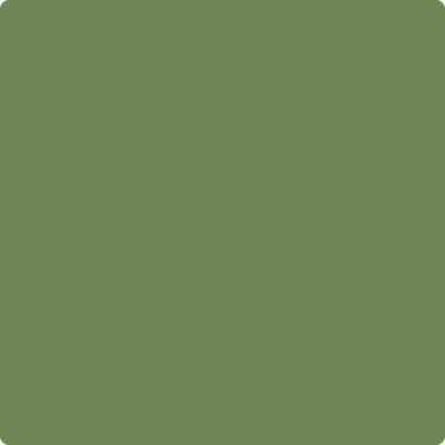 546-Courtyard: Green a paint color by Benjamin Moore avaiable at Clement's Paint in Austin, TX.