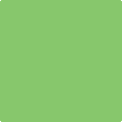 558-Killala: Green a paint color by Benjamin Moore avaiable at Clement's Paint in Austin, TX.