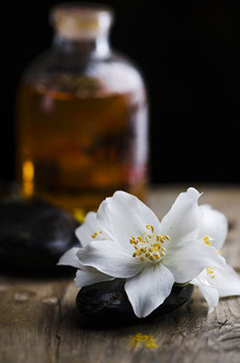 Angel Baby Fragrance Oil 14912