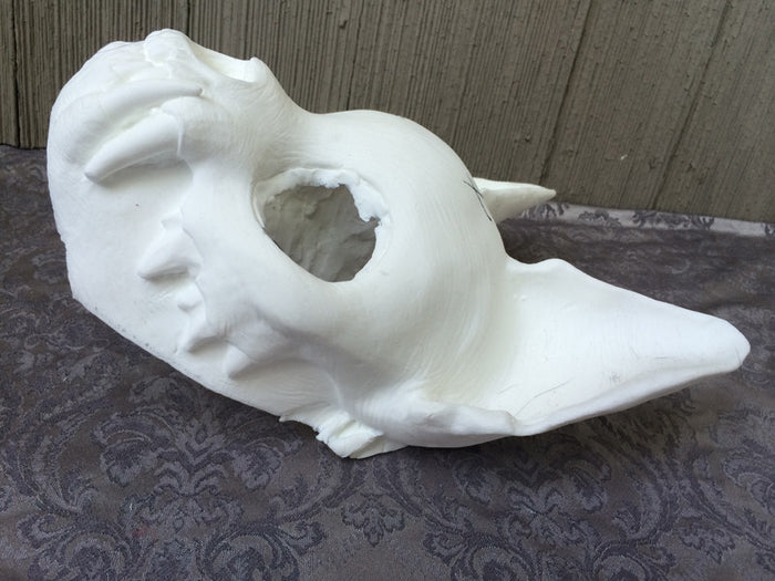 CAT MASK BLANK MISCASTS
