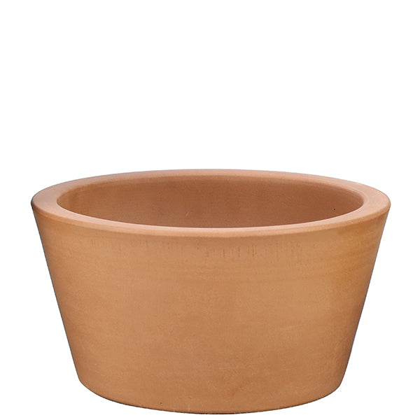 Cholla Pot cm. 22 (8.5")