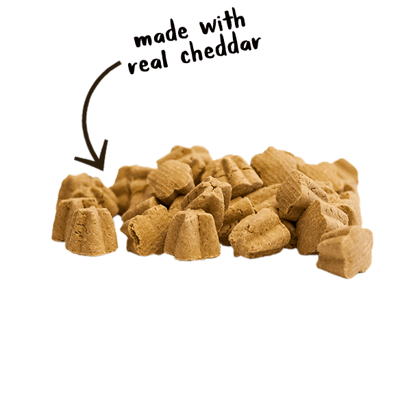 Cloud Star Tricky Trainers Crunchy with Cheddar Dog Treats