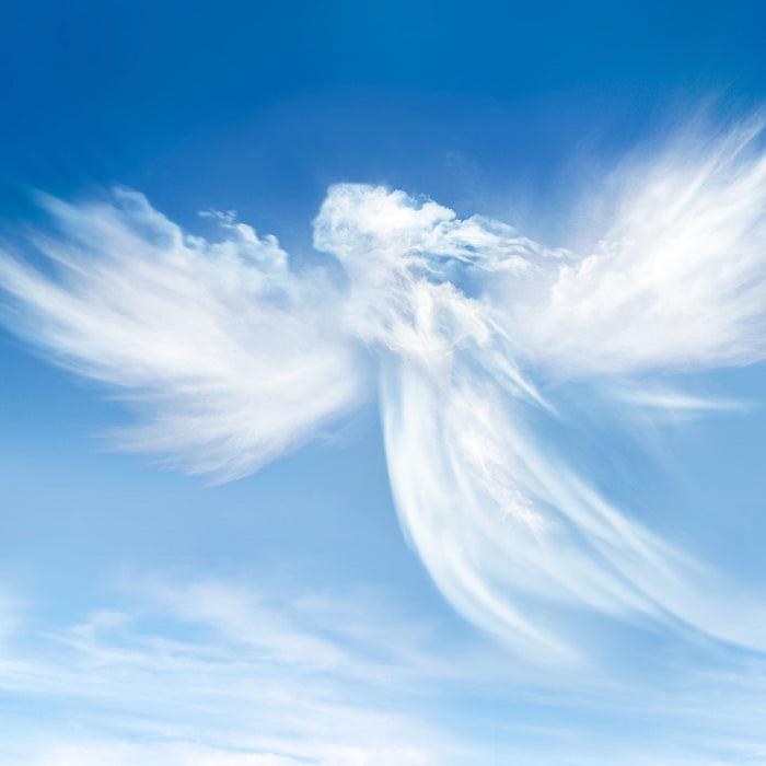 Heavenly Fragrance Oil 368