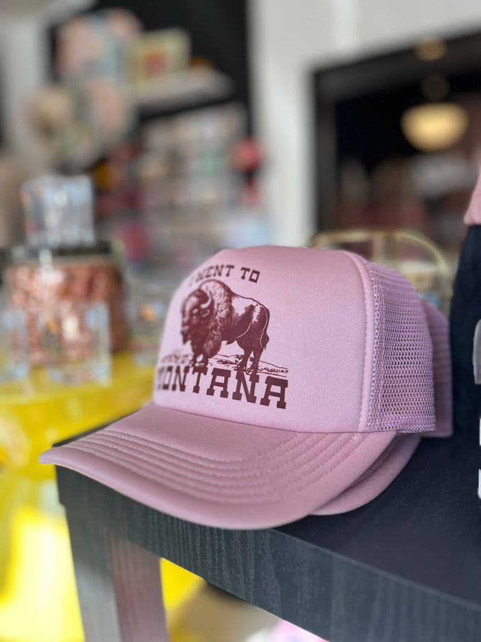 Funny bison trucker hat from The Coin Laundry featuring "I Went To Montana" text and a bison graphic on mesh cap