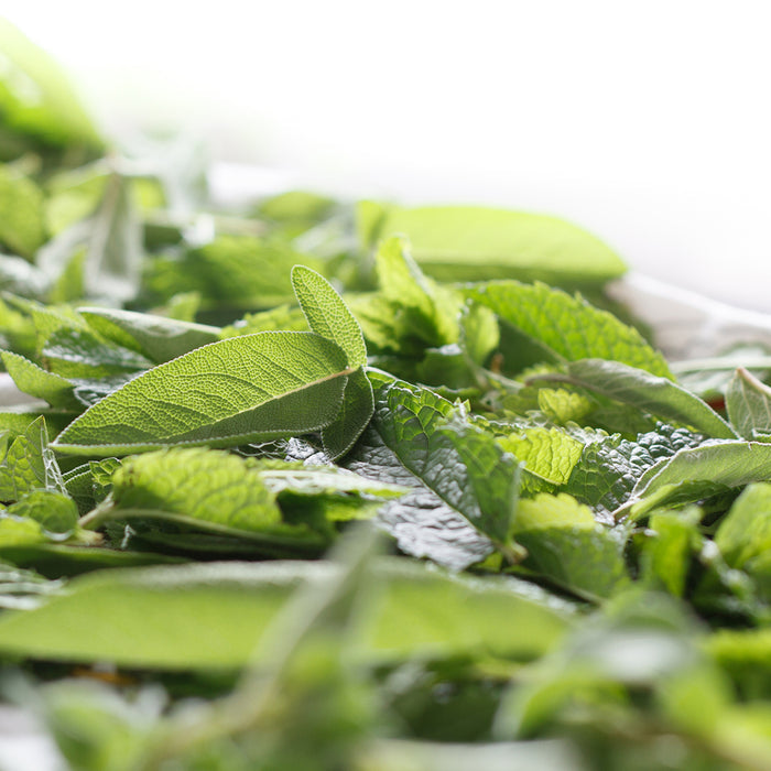 Lemongrass Sage Fragrance Oil 160