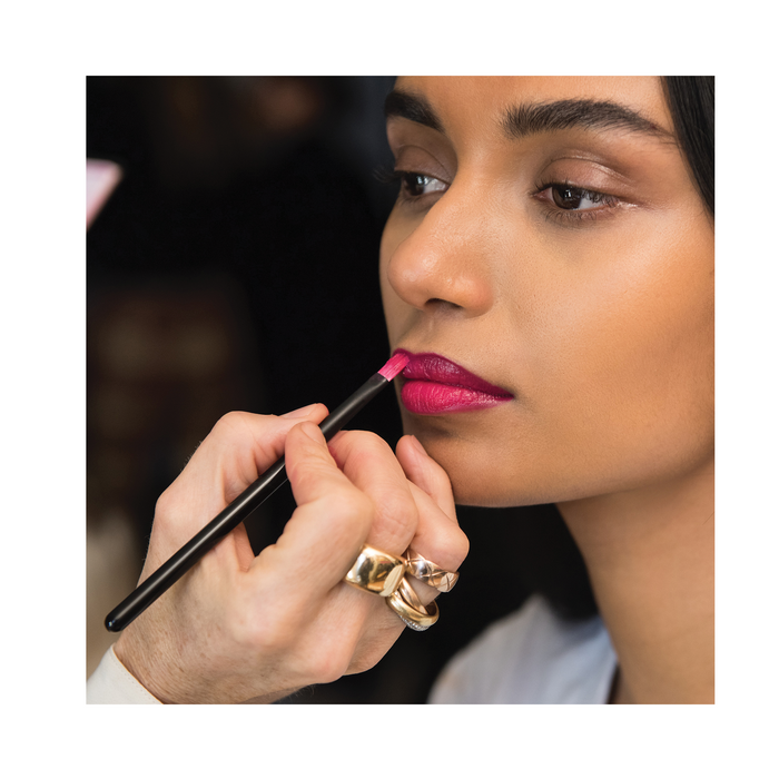 LIP BRUSH