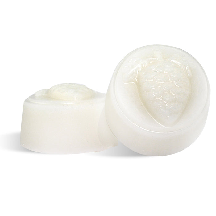 Pine Air Freshener Kit