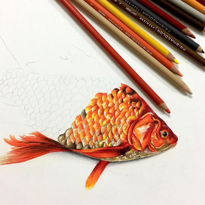 Prismacolor colored pencil drawing