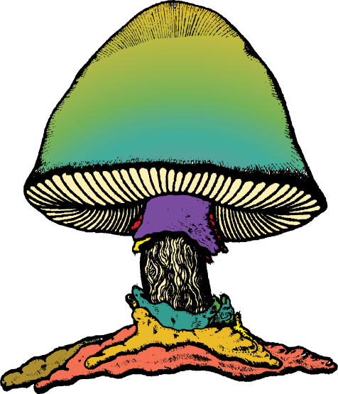 The Allman Brothers Band : The Wanee Dozen Set