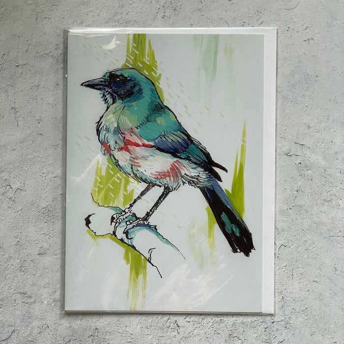 Western Scrub-Jay Card