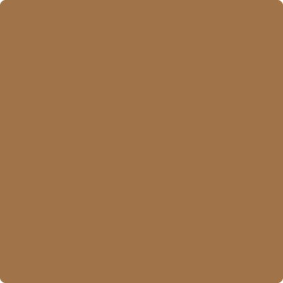 2161-20: Tawny  a paint color by Benjamin Moore avaiable at Clement's Paint in Austin, TX.