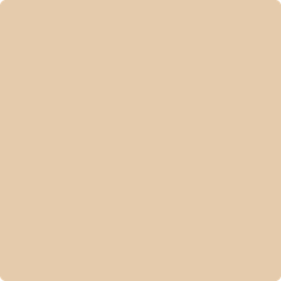 2161-50: Yellow Squash  a paint color by Benjamin Moore avaiable at Clement's Paint in Austin, TX.