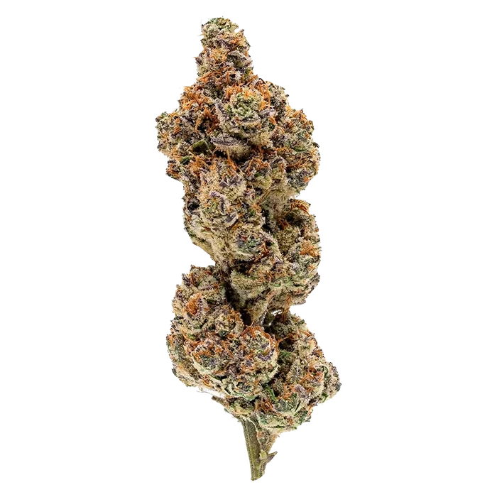 North of 28 3.5 g Apes in Space Flower