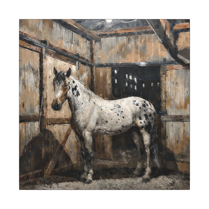 Appaloosa Horse Canvas Art - Rustic Stable Wall Décor (Matte Stretched Canvas Print)