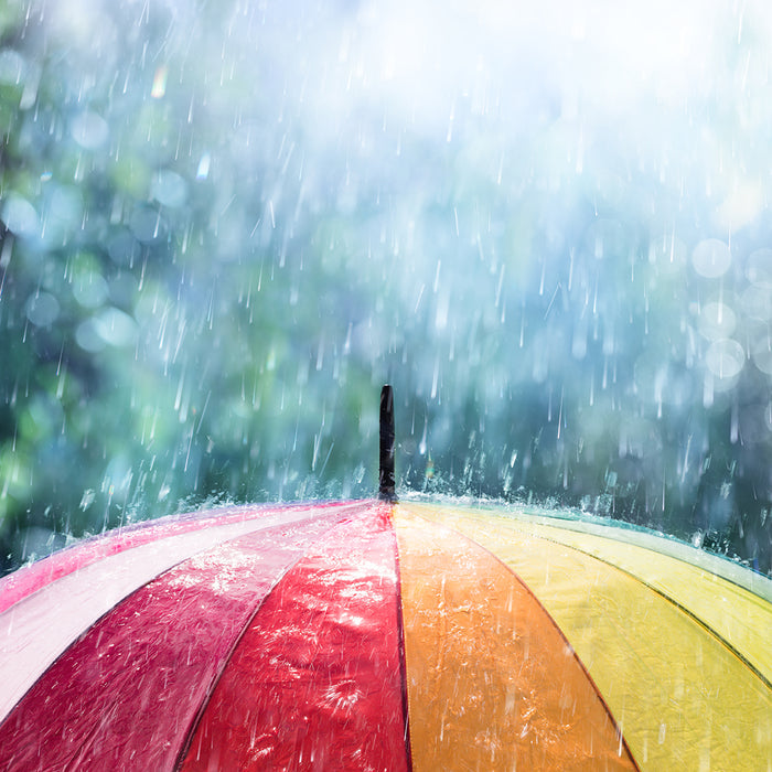 April Showers Fragrance Oil 264