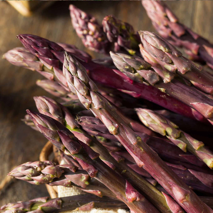 Asparagus Crown 'Erasmus'