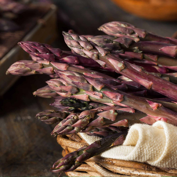 Asparagus Crown 'Erasmus'