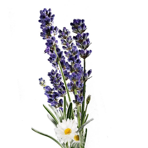 Avon Planet Spa Sleep Ritual Aromatherapy Beauty Sleep Pillow Mist Spray - Lavender & Chamomile - 100ml