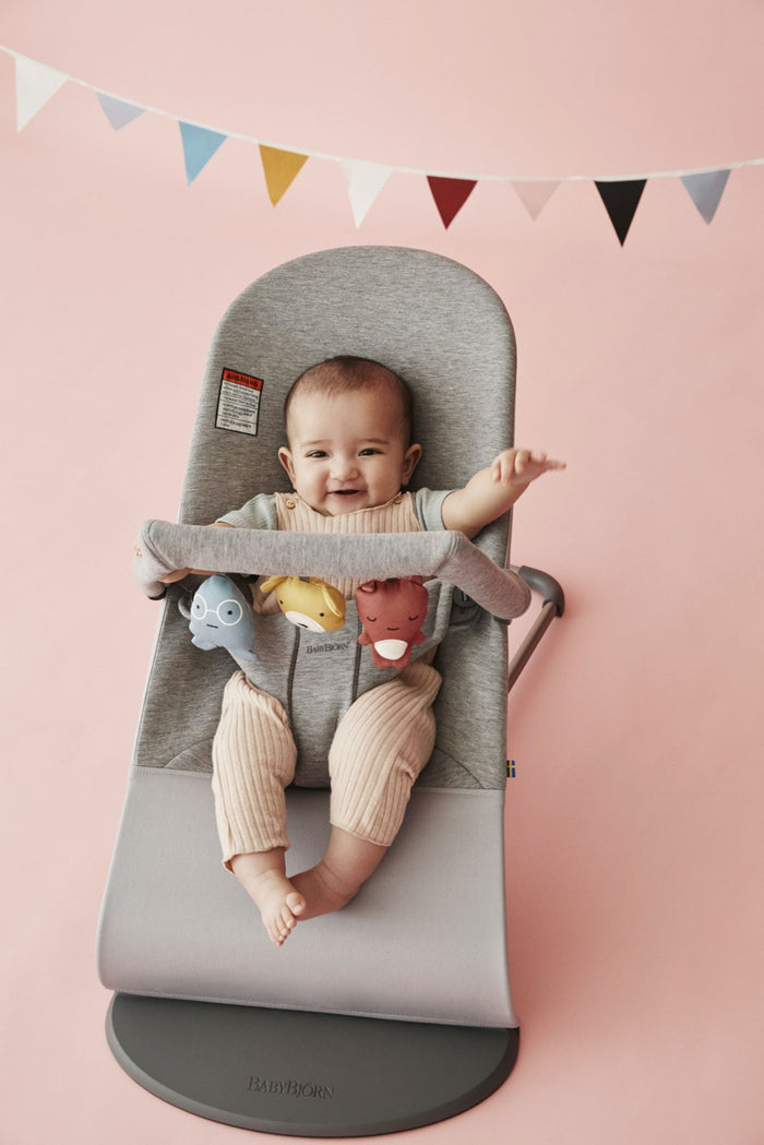 Baby Bjorn Soft Friends Toy Bar for Bouncer
