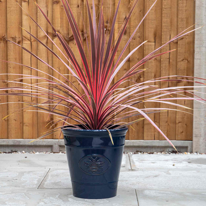 Bee Planter in Dark Blue 30cm