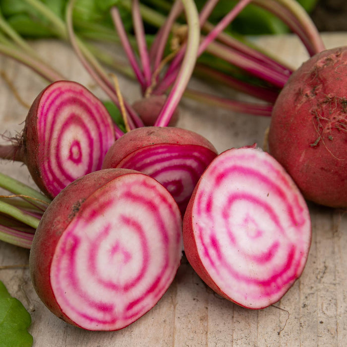 Beetroot 'Quattro Gourmet Mix'