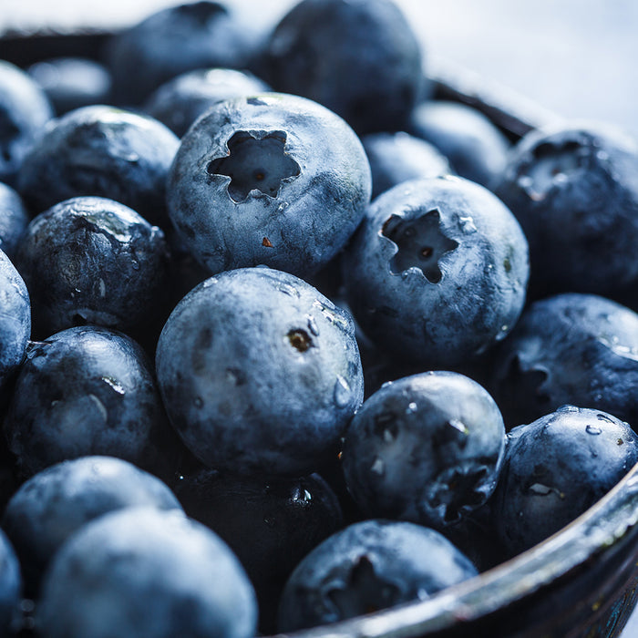 Blueberry Fragrance Oil 621