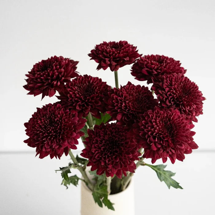 Bolero Red Cremon Flower Vase - Image