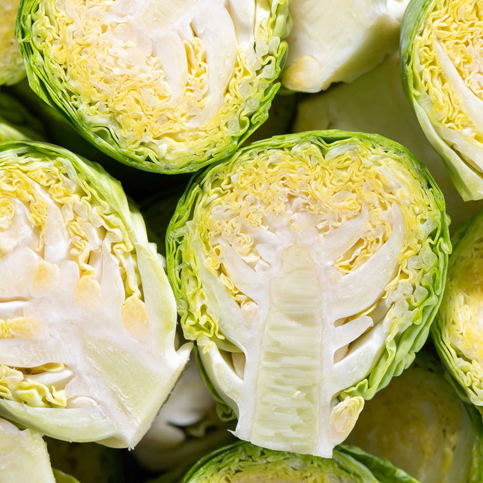 Brussels Sprout 'Crispus'