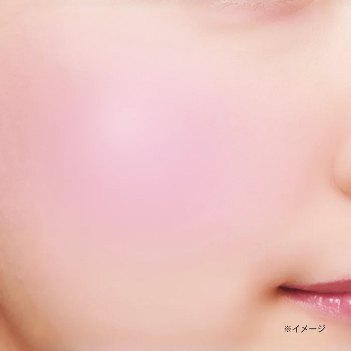 CANMAKE Gradation Cheeks [New]