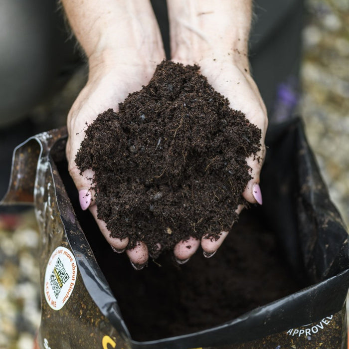 Carbon Gold Biochar All Purpose Peat-Free Compost