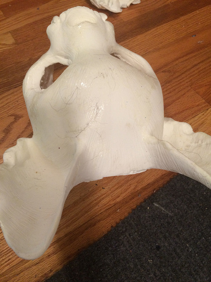 CAT BLANK MISCASTS