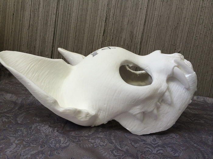 CAT MASK BLANK MISCASTS