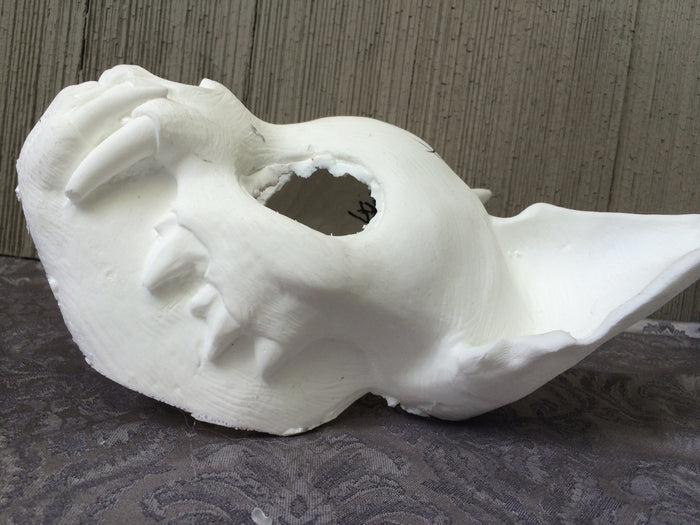 CAT MASK BLANK MISCASTS