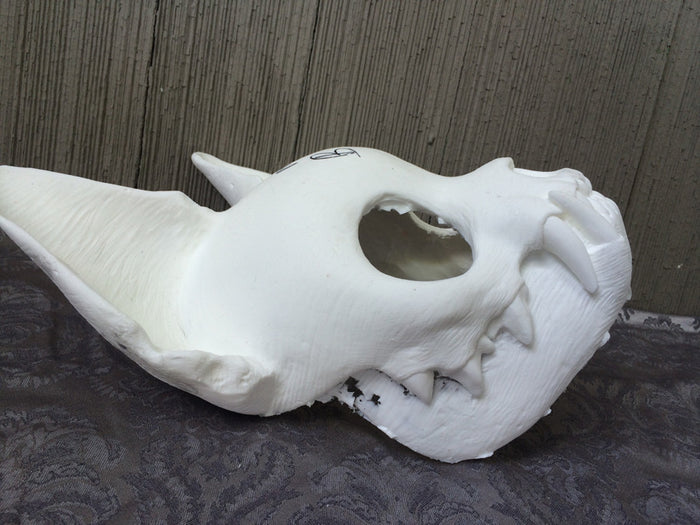 CAT MASK BLANK MISCASTS