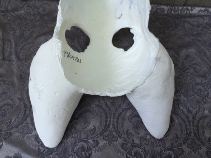CAT MASK BLANK MISCASTS