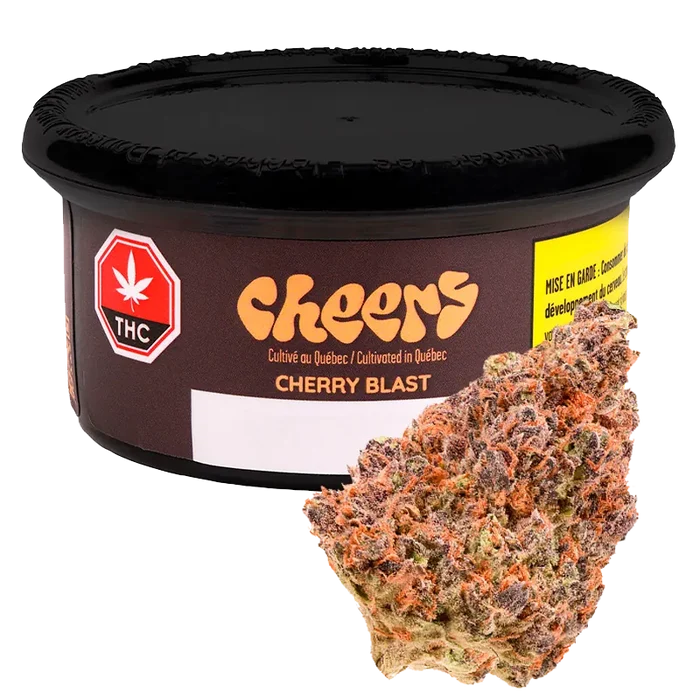 Cheers Cannabis 3.5 g Cherry Blast Flower