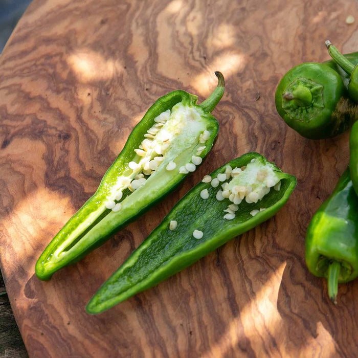Chilli 'Padron'