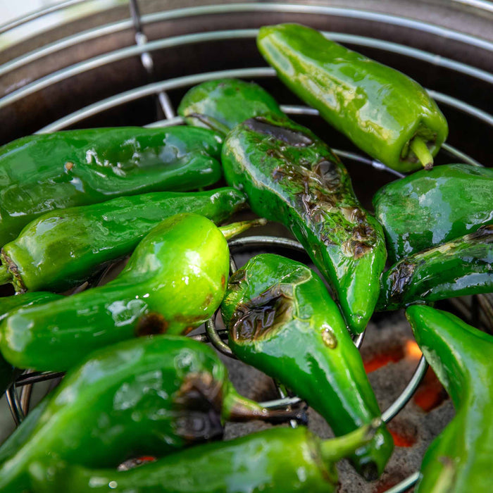 Chilli 'Padron'