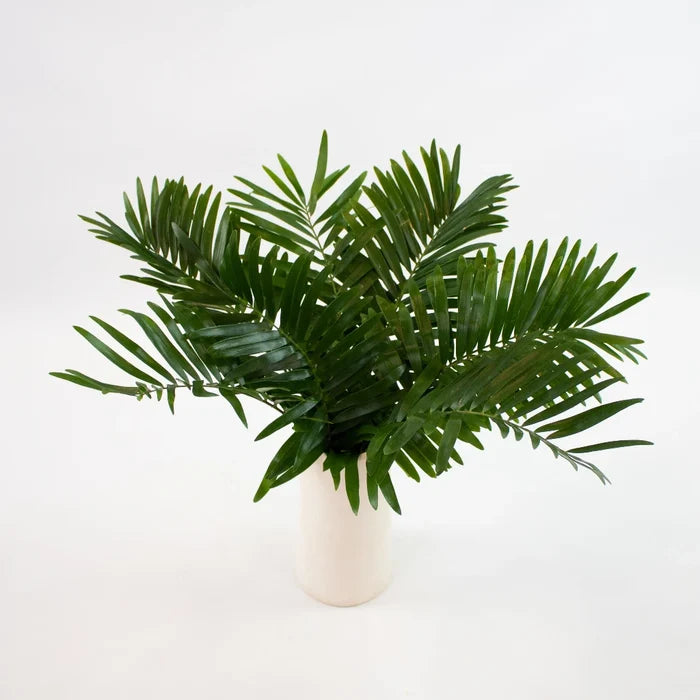 Coontie Greenery Bunch in Vase