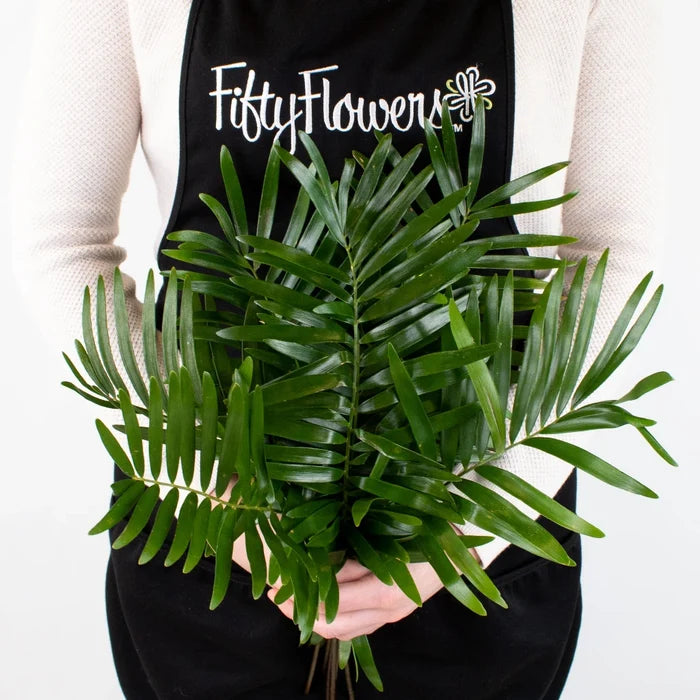 Coontie Greenery Bunch in Hand