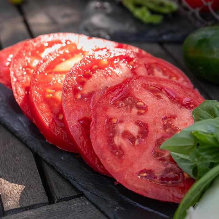 Cordon Tomato 'Big Daddy'