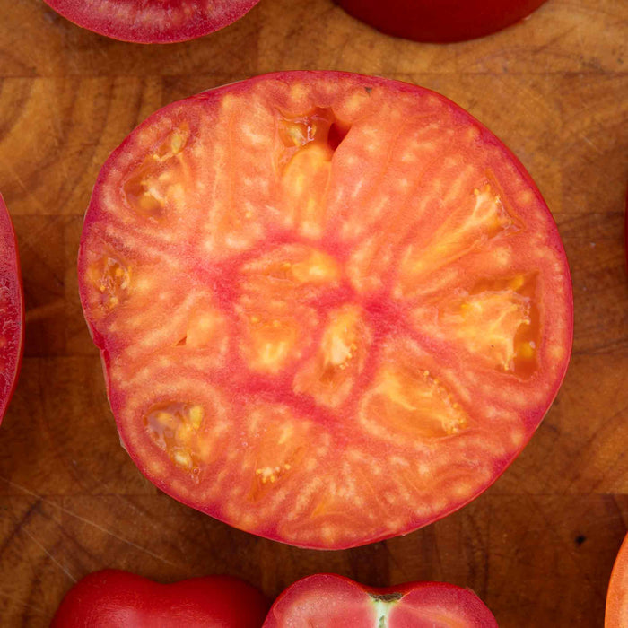 Cordon Tomato 'Buffalosun'
