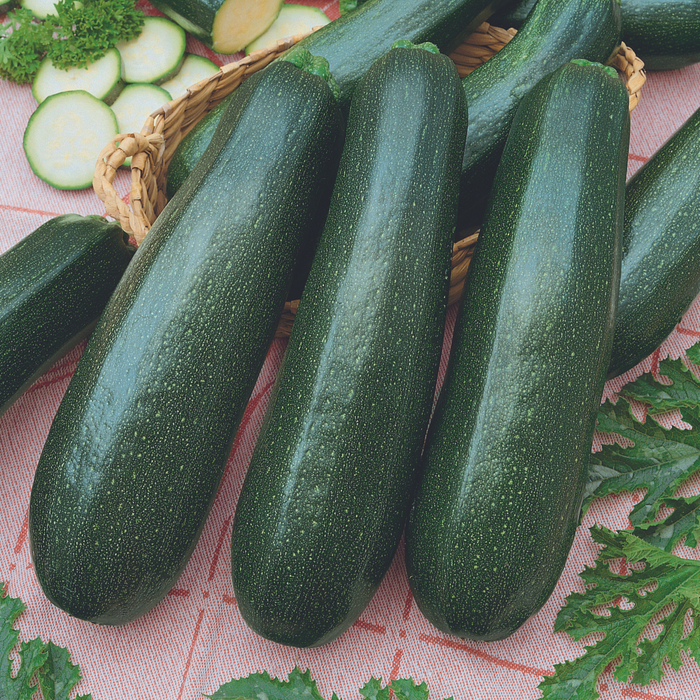 Courgette 'Ambassador'
