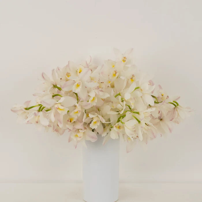 Creamy Blush Mini Cymbidium Orchids Apron - Image