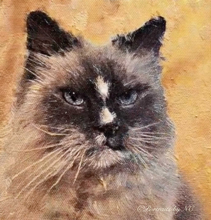 cat portrait in oil