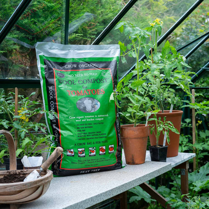 Dalefoot Tomato Planter 30L