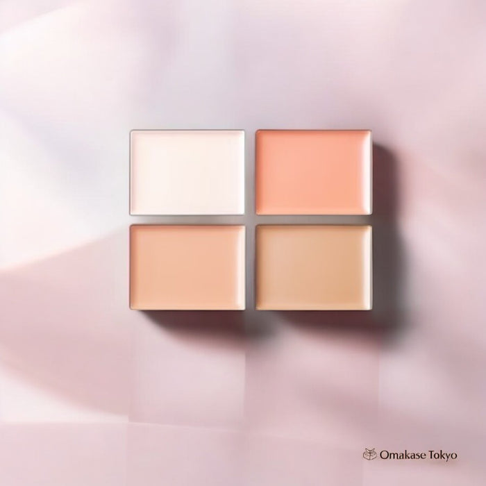 Decorte Tone Perfecting Palette 02 Medium